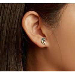 Delicate earrings with mini chameleon - 925 sterling silverEarrings