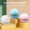 Interaktives Spielzeug für Hunde/Katzen – Ball mit Licht/Sound/Feder – USB
