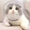 Space hood - for cats / dogs - anti-licking - anti-bite - safe / breathable head coverCare