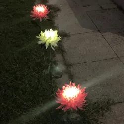 Lampe in Form einer Chrysantheme - Gartenleuchte - Solar - LED - wasserdicht