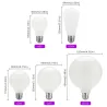 LED-Edison-Glühbirne - milchiges Glas - 5 W - AC110V 220V - G80 - G95 - G125 - A60 - ST64
