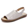 Fashionable flat sandals - open toe / heelSandals