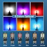 LED Canbus bulb - car light - W5W - T10 - 24 SMD - 12V - 6 piecesT10