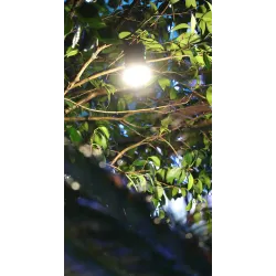 Multifunktionales Campinglicht - wasserdichte Lampe - Laterne - mit Fernbedienung - LED - USB - wiederaufladbar