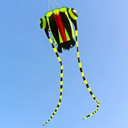 Large colorful kite - green trilobiteKites