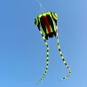 Large colorful kite - green trilobiteKites