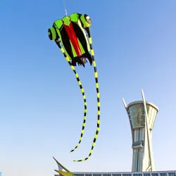 Large colorful kite - green trilobiteKites