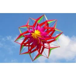 Sport- / Stranddrachen - 3D-Blume - mit Griff / Leine