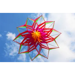 Sports / beach kite - 3D flower - with handle / lineKites