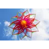 Sport- / Stranddrachen - 3D-Blume - mit Griff / Leine