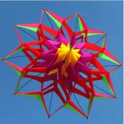Sport- / Stranddrachen - 3D-Blume - mit Griff / Leine