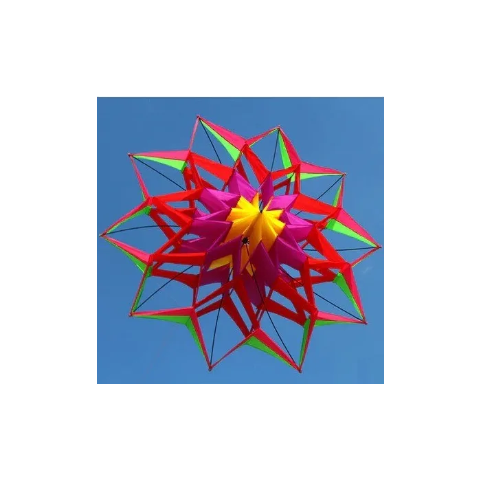 Sport- / Stranddrachen - 3D-Blume - mit Griff / Leine
