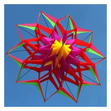 Sport- / Stranddrachen - 3D-Blume - mit Griff / Leine