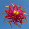 Sport- / Stranddrachen - 3D-Blume - mit Griff / Leine