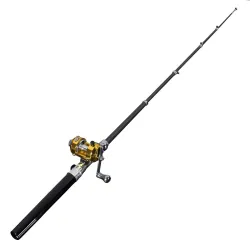 Mini telescopic fishing rod - with a golden fishing reel - foldableFishing rods