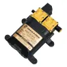 Elektrische Membranwasserpumpe - Hochdruck - 120 psi 7-9 LPM - 130 psi 10-12 LPM