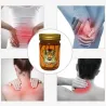 THONG TIGER - Tigerbalsam - medizinische Salbe - Schmerzmittel - Arthritis - Rheuma