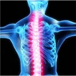 Orthopädischer Rückenstützgürtel - Haltungskorrektur - Rückenkorrektor mit Magneten