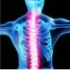 Orthopädischer Rückenstützgürtel - Haltungskorrektur - Rückenkorrektor mit Magneten