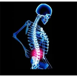 Orthopädischer Rückenstützgürtel - Haltungskorrektur - Rückenkorrektor mit Magneten