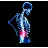 Orthopädischer Rückenstützgürtel - Haltungskorrektur - Rückenkorrektor mit Magneten