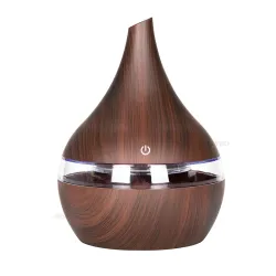 Ultraschall-Luftbefeuchter – Diffusor für ätherische Öle – LED – USB – 300 ml