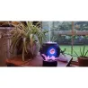 Ultrasonic air humidifier - essential oils diffuser - moon shape - LEDHumidifiers