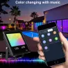60W - Bluetooth - RGB - LED floodlight - outdoor reflector with musicFloodlights