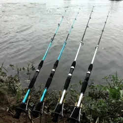 Ultralight fishing rod - two-sections - casting / spinning handleFishing rods
