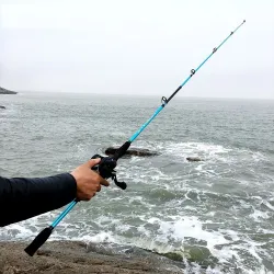 Ultralight fishing rod - two-sections - casting / spinning handleFishing rods