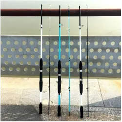 Ultralight fishing rod - two-sections - casting / spinning handleFishing rods