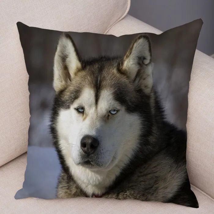 Dekorativer Kissenbezug - Sibirischer Husky-Hund - 45 * 45 cm