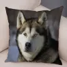 Dekorativer Kissenbezug - Sibirischer Husky-Hund - 45 * 45 cm