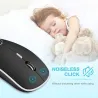 Kabellose optische Maus – mit USB-Empfänger – ergonomisch – leise – 2,4 GHz – 1600 DPI