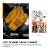 Safety / work gloves - stretchable - wood cutting / gardening - leatherSafety & protection