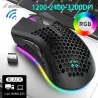 BM600 - wireless RGB gaming mouse - honeycomb design - rechargeable - USB - 2.4GMouses