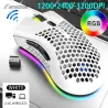 BM600 – kabellose RGB-Gaming-Maus – Wabendesign – wiederaufladbar – USB – 2,4 G