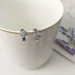 Crystal snowflake - small round silver earringsEarrings