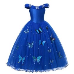 Princess butterflies blue dress - girls costumeCostumes