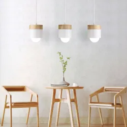 Nordic style ceiling lamp - LED - E27Ceiling lights