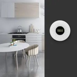 2 in 1 – Kohlenmonoxid-/Rauch-Kombisensor – LCD-Display – mit LED-/Tonwarnung