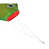 Regenbogenfisch - Drachen