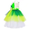 Fairy costume - green dress - with wingsCostumes