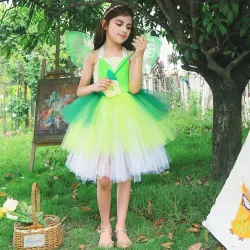 Fairy costume - green dress - with wingsCostumes