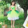 Fairy costume - green dress - with wingsCostumes