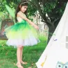 Fairy costume - green dress - with wingsCostumes