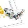 Pearl shell butterfly - broochBrooches