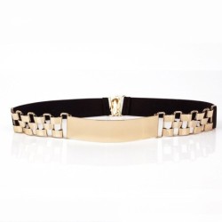 Fashion elastic belt - with metal golden decorationBelts