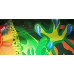 3D pterosaur - green dinosaur - kite - with 100 m lineKites