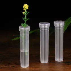 Transparente Kunststoffröhren – Mini-Blumenhalter – Wasserbehälter – 50 Stück